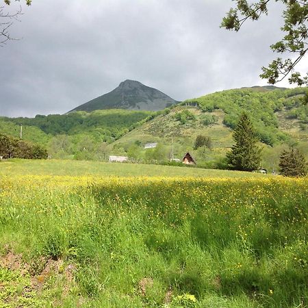 Villa Chalet Avec Vue Panoramique Sur Le Plomb Du Cantal Saint-Jacques-des-Blats Exterior foto