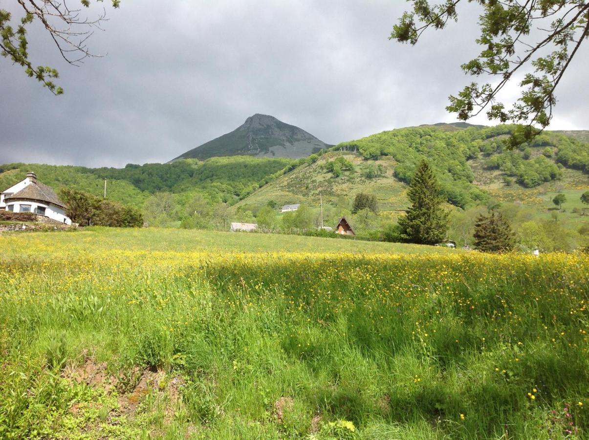 Villa Chalet Avec Vue Panoramique Sur Le Plomb Du Cantal Saint-Jacques-des-Blats Exterior foto