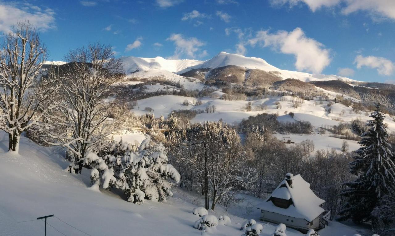 Villa Chalet Avec Vue Panoramique Sur Le Plomb Du Cantal Saint-Jacques-des-Blats Exterior foto