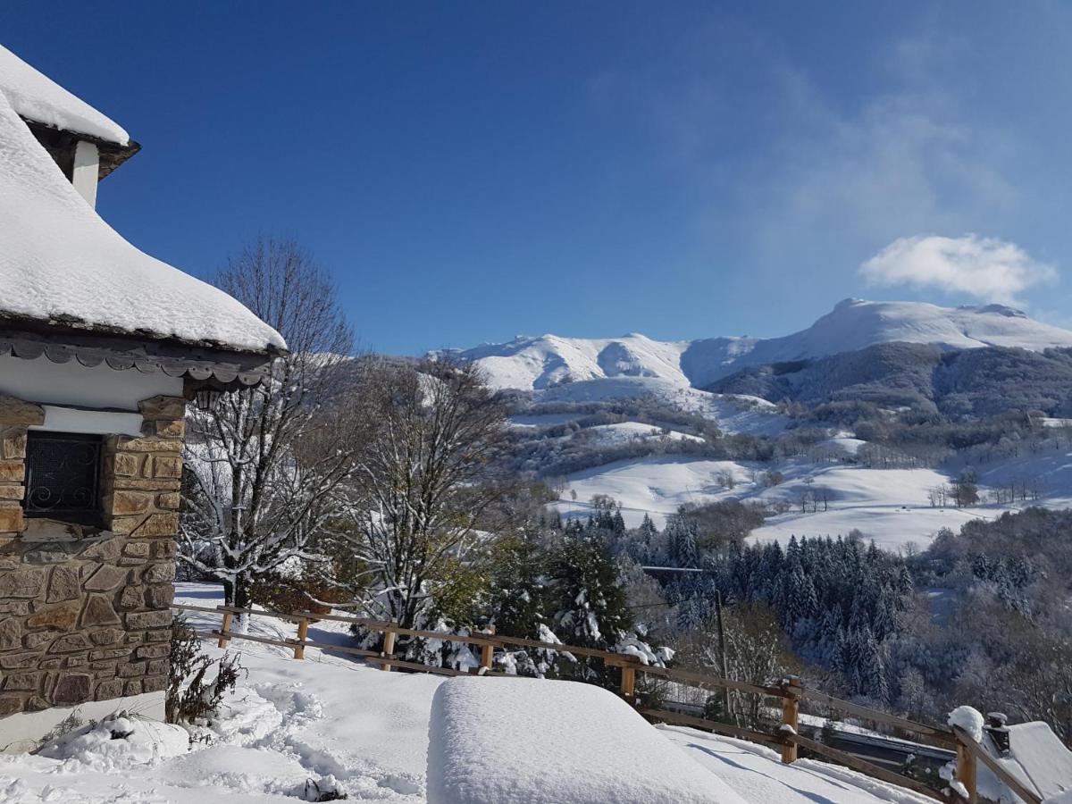 Villa Chalet Avec Vue Panoramique Sur Le Plomb Du Cantal Saint-Jacques-des-Blats Exterior foto