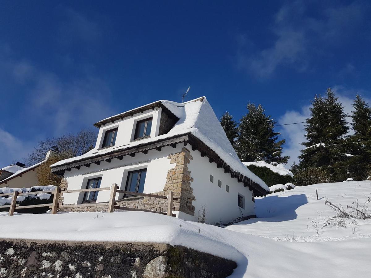 Villa Chalet Avec Vue Panoramique Sur Le Plomb Du Cantal Saint-Jacques-des-Blats Exterior foto