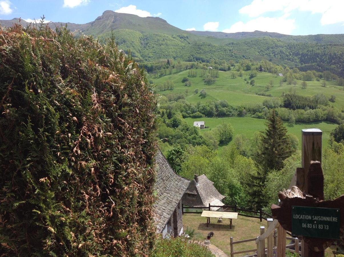 Villa Chalet Avec Vue Panoramique Sur Le Plomb Du Cantal Saint-Jacques-des-Blats Exterior foto