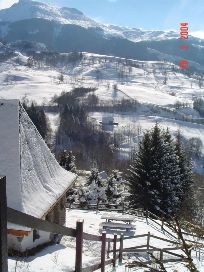 Villa Chalet Avec Vue Panoramique Sur Le Plomb Du Cantal Saint-Jacques-des-Blats Exterior foto