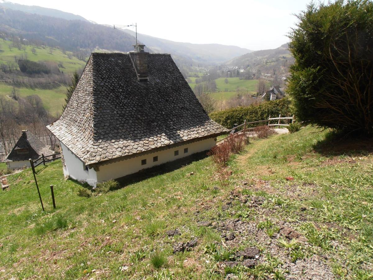 Villa Chalet Avec Vue Panoramique Sur Le Plomb Du Cantal Saint-Jacques-des-Blats Exterior foto