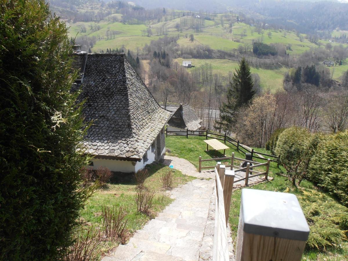 Villa Chalet Avec Vue Panoramique Sur Le Plomb Du Cantal Saint-Jacques-des-Blats Exterior foto