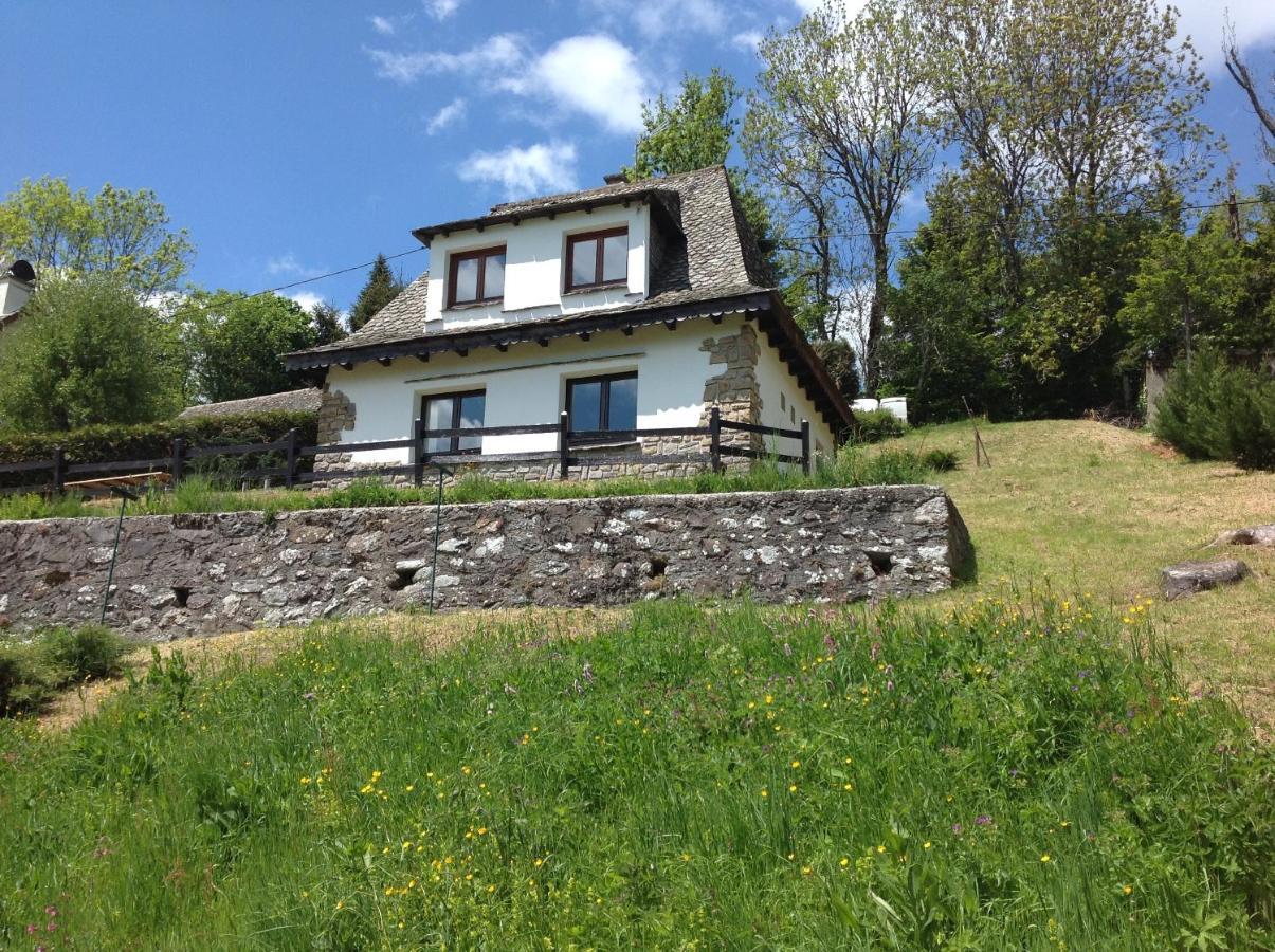 Villa Chalet Avec Vue Panoramique Sur Le Plomb Du Cantal Saint-Jacques-des-Blats Exterior foto