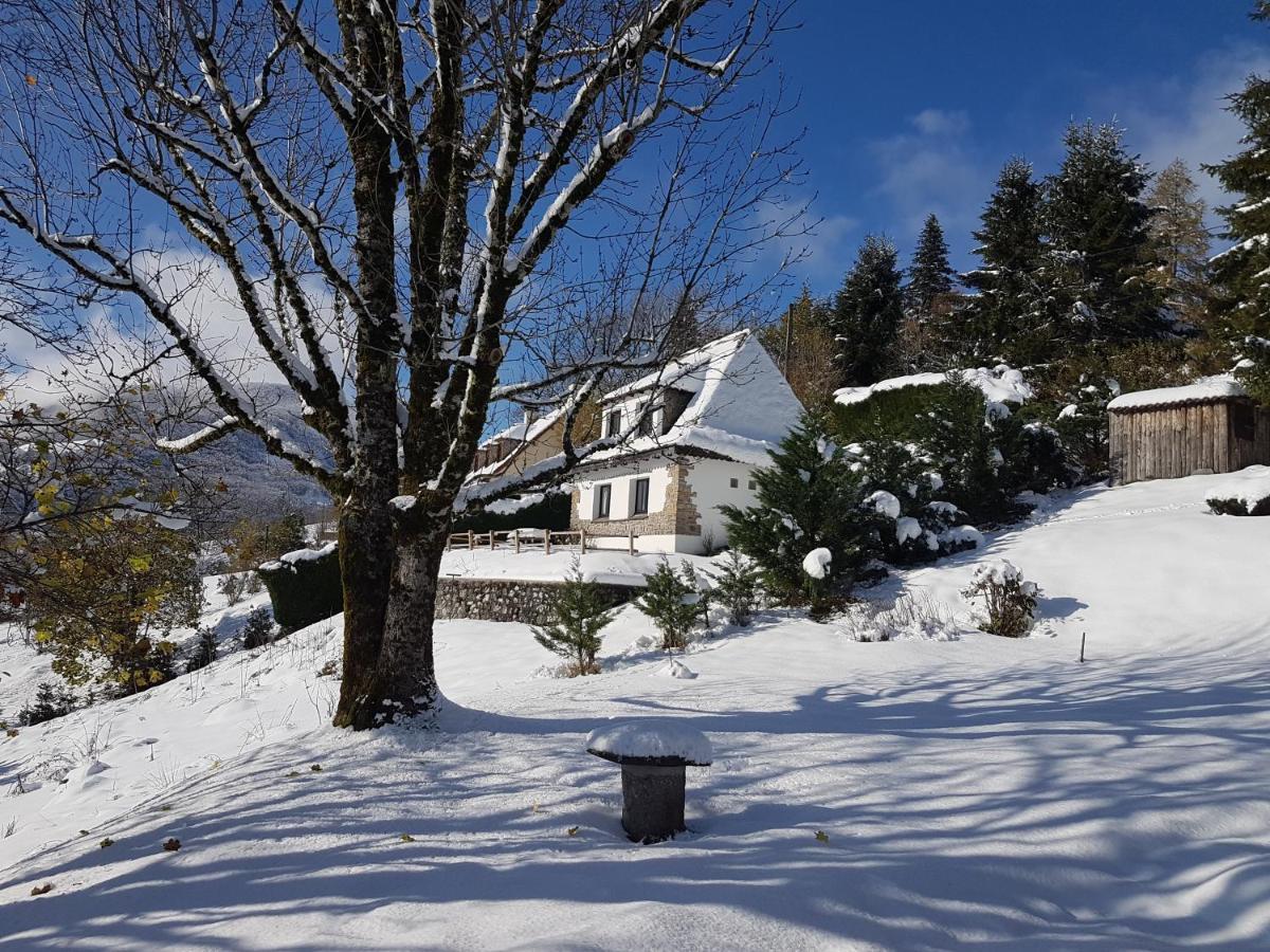 Villa Chalet Avec Vue Panoramique Sur Le Plomb Du Cantal Saint-Jacques-des-Blats Exterior foto