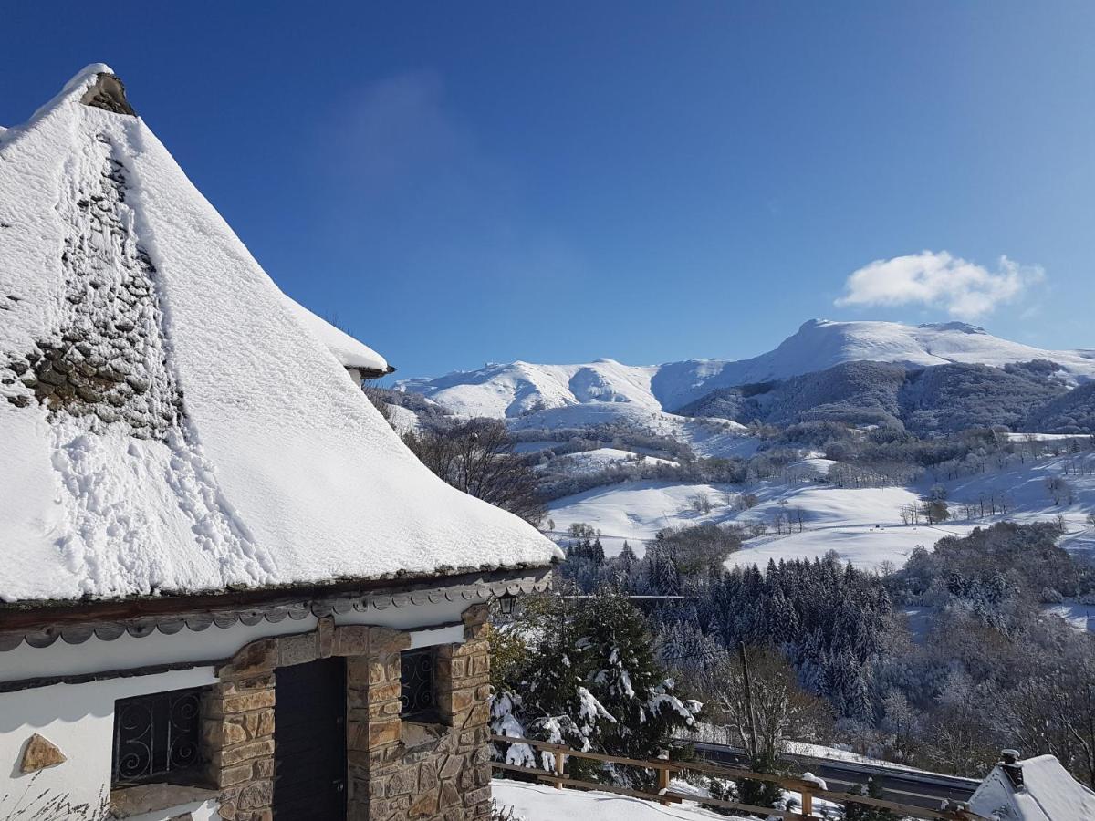 Villa Chalet Avec Vue Panoramique Sur Le Plomb Du Cantal Saint-Jacques-des-Blats Exterior foto