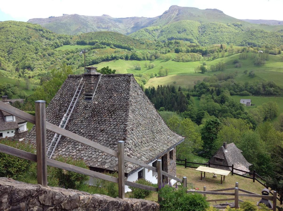 Villa Chalet Avec Vue Panoramique Sur Le Plomb Du Cantal Saint-Jacques-des-Blats Exterior foto