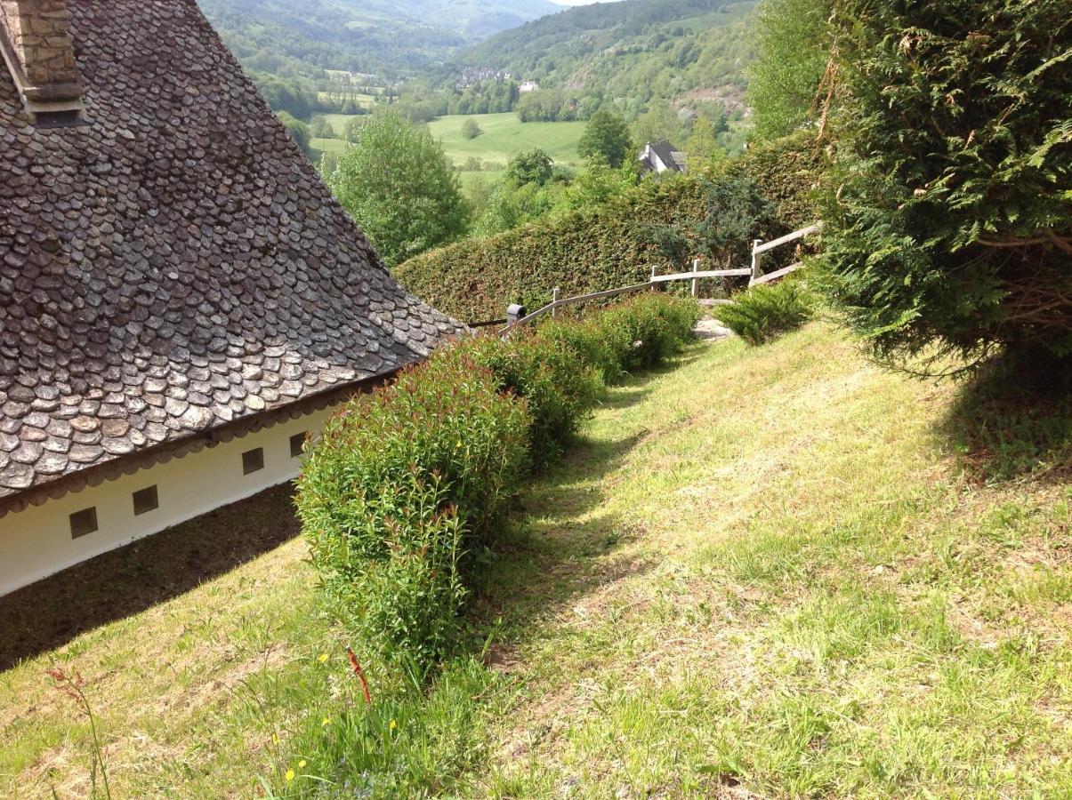 Villa Chalet Avec Vue Panoramique Sur Le Plomb Du Cantal Saint-Jacques-des-Blats Exterior foto