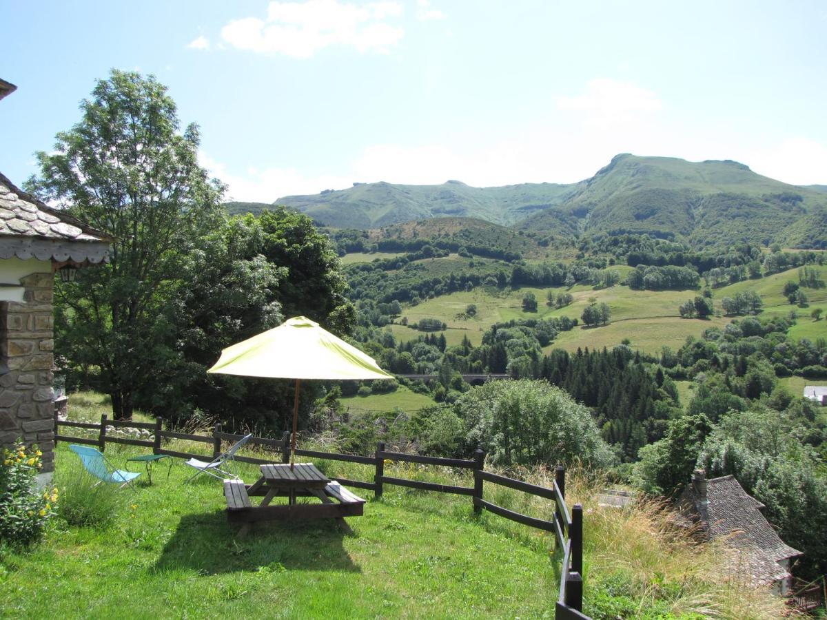 Villa Chalet Avec Vue Panoramique Sur Le Plomb Du Cantal Saint-Jacques-des-Blats Exterior foto